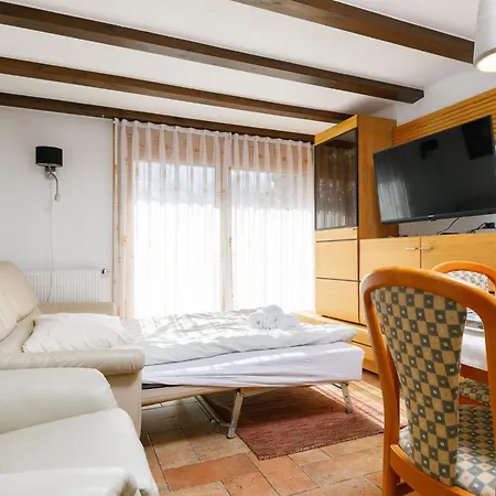 Apt-31 By Interhome * 席尔瓦普拉纳